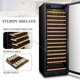 Lanbo 165 Bottle Single Zone Wine Cooler